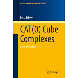 CAT(0) Cube Complexes: An Introduction (Lecture Notes in Mathematics, 2324)