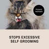 Eye Envy ProGlide Deshedding and Detangling Comb for Long-Haired Cats
