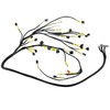 maXpeedingrods K20 K24 K-Series Tucked Engine Wiring Harness for Honda