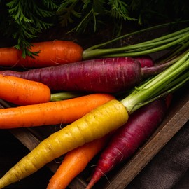Organic Carrot Seeds (Rainbow Blend) - Approx 500 Seeds - USDA Organic, Non-GMO, Open Pollinated, Heirloom, USA Origin