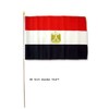 AES 12x18 12"x18" Egypt Country Stick Flag 30" Wooden Staff