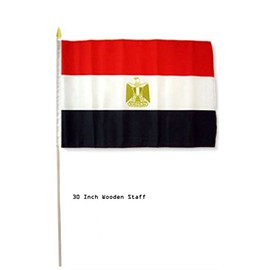 AES 12x18 12"x18" Egypt Country Stick Flag 30" Wooden Staff
