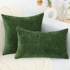 decorUhome Chenille Moss Green Fall Throw Pillow Covers 18x18 Inch