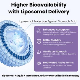 Liposomal Vitamin B Complex Liquid Sublingual B Complex Vitamins Supplement for Women Men Improved Absorption Methylated B12,B1, B2, B3, B5, B6,Folate,Biotin for Energy and Immune Support-4.0 oz