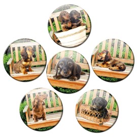 Fridge Magnets Dachshund Look Set of 6 Decorative Gift Set Dogs Magnets Animals Funny for Women Girlfriend Children Strong Large 50 mm Round Colourful