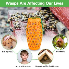 JNKNT Wasp Trap Bee Catcher - Outdoor Hanging Carpenter Bee Traps with 4 Sticky Boards, Non-Toxic Reusable Hornet & Yellow Jacket Trap, 2 Pack (Orange)