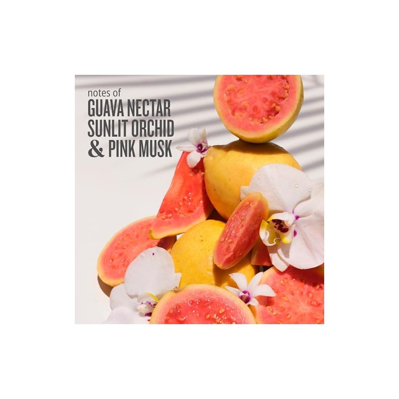 Aroma corporal de Sol de Janeiro Cheirosa 48