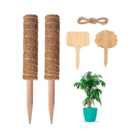 FAINCA Pack of 2 Coconut Sticks for Plants, 30 cm Plant Stick, Trellis for Climbing Plants, Moss Rod Trellis, Bendable Coconut Fibre Moss Stick, with 2 Bamboo Labels and 2 m Long Twine