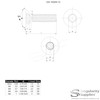 M6 (6mm x 12mm) TX Socket Countersunk Thread Rolling Screw