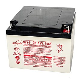 Enersys Genesis np24-12b - 12 volt/24 amp Hour Sealed Lead Acid Battery with nut-Bolt terminals
