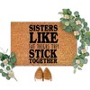 DecStic Sisters Like Fat Thighs They Stick Together Coir Door