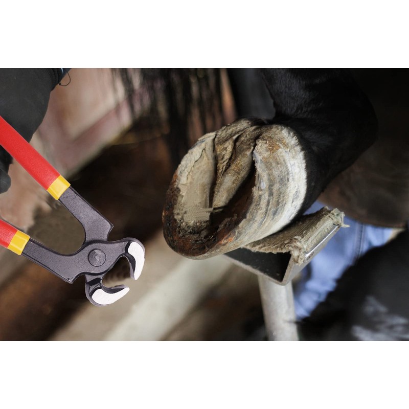 Farrier Tool Kits - 8 inch Professional Farriers Hoof Nipper