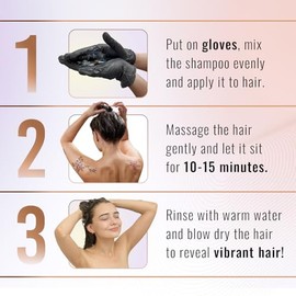 Herbishh Hair Color Shampoo for Gray Hair– Hair Dye Shampoo with Argan Hair Mask–Tamaño de viaje-Tiñe el cabello en minutos–Color de larga duración–10