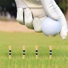 T-712 Golf Tees, Bamboo Short Tees, Graduated, 1.7 inches (42