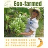 Organic Sun Dried Banana Strips - No Sugar Added -