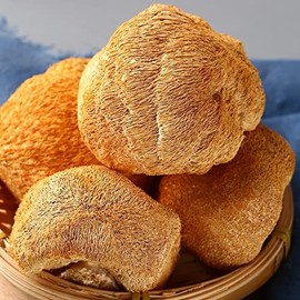 Hericium Erinaceus Organic Wild Lions Mane Mushroom HOU TOU Gu (500 Grams)