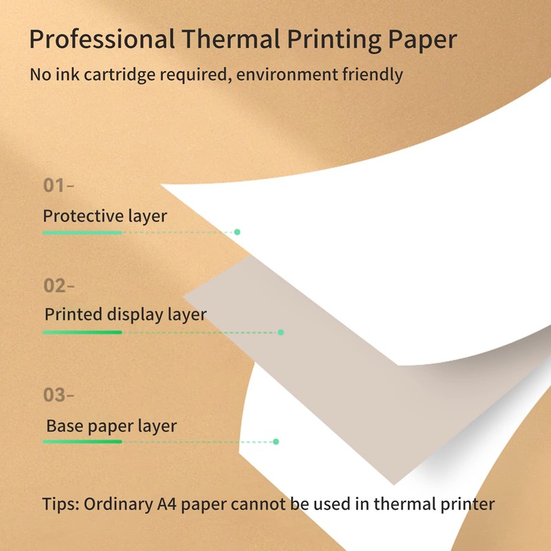 Bisofice 2 Rolls of Thermal Paper A4 Anti-Curl, Compatible with