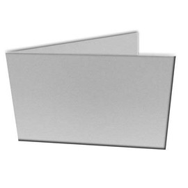 Menu Size Laminating Pouch Carrier - 12" x 18" - Qty 1