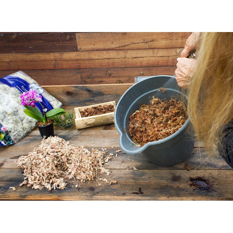 SuperMoss (22330) Orchid Sphagnum Moss Dried, Natural, 2.1lbs Small Bale