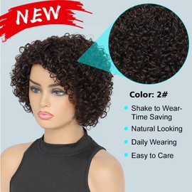 UDU Short Curly Human Hair Wigs For Black Women Dark Brown Human Hair Curly Wigs Non Lace Glueless Wigs Human Hair Side Part Wigs (2#)