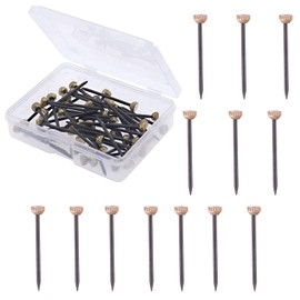 50Pcs Picture Hanging Nails 25mm Brass Head Hanging Pins Picture Frame Hangers, Brass Wall Pins, Picture Hang Solutions Plaster with Plastic Storage Box for Picture Photo Frames Walls Hanging