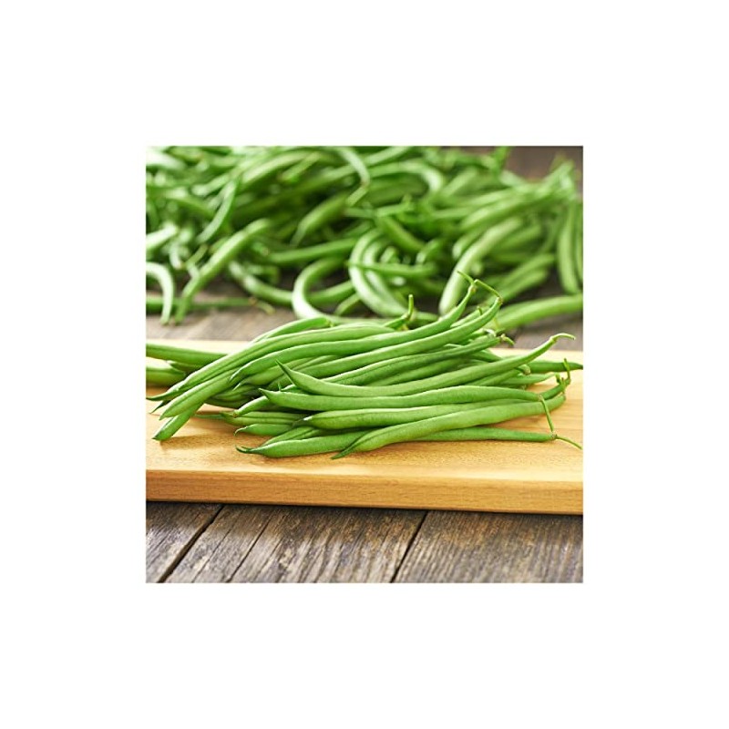 Everwilde Farms - 1 Lb Blue Lake Bush Green Bean