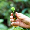 Panama Jack Bálsamo Labial Con Protector Solar - Fps 45,