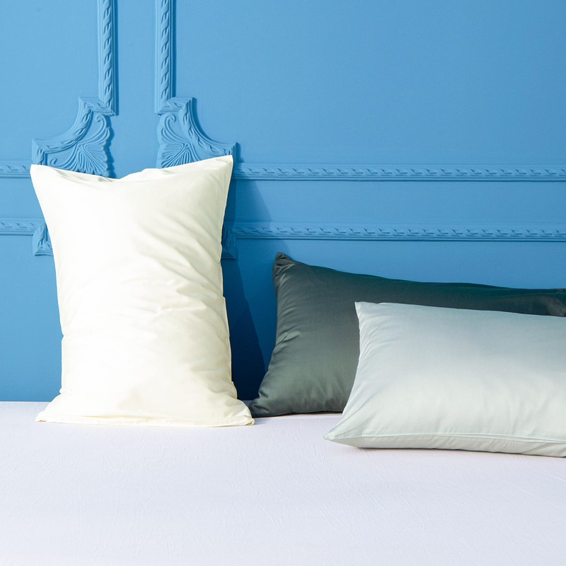 FLXXIE 2 Pack 500 Thread Count 100% Egyptian Cotton Pillowcases,