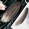 THARAHT 24pcs Natural Spotted Feathers Guinea Fowl Wing Feathers 6-8