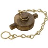 Brass Lugged 2" BSP Female Thread Blanking Cap with securing