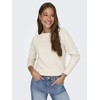 ONLY Women's Jumper 15204279, Birch