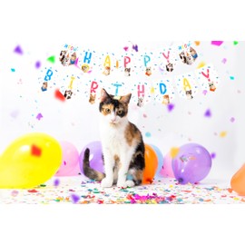 TSJ Cat Happy Birthday Banner Kitty Party Garland for Cat Theme Party Favors
