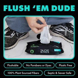 DUDE Wipes Flushable Wipes, XL Wet Wipes for At Home Use, Mint Chill, 48 Count,