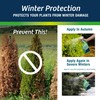 Wilt-Pruf® Organic Plant Protector | Winter Plant Spray | No