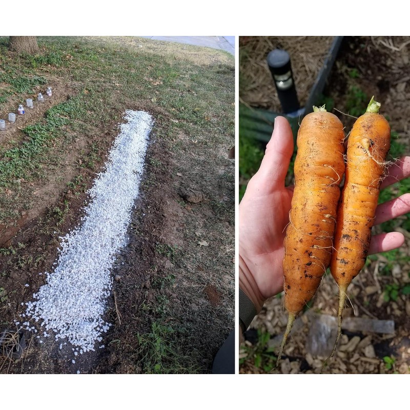 50 QT Professional Grade Horticultural Organic Vermiculite and Perlite (Perlite,