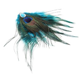 Vaguelly Retro Style Hair Accessories for Women Peacock Faux Plumage Hair Clip with Rhinestones Side Bang Clip for Parties