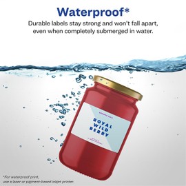 Avery Durable Waterproof Rectangle Labels, Sure Feed Technology, Print-to-The-Edge, 2" x 3", 40 Total, Oil and Tear-Resistant, Waterproof, Laser/Pigment-Based Inkjet Printable