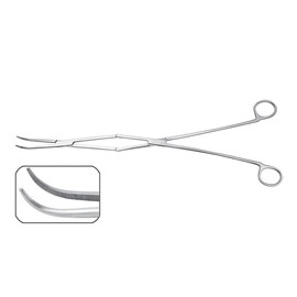 Periodontal Equine Dental Forceps Stainless Steel 41 Cm or 16.5" Long