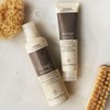 AVEDA [AVEDA]아베다 데미지레미디 데일리 리페어 100ml [AVEDA] Aveda Damage Remedy