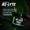 Redmond Lyte Electrolitos Naturales Real Salt Hidratación Clean Calorías Azúcares