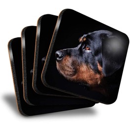 Destination Vinyl ltd Great Coasters (Set of 4) Square - Rottweiler Dog Portrait Cute Drink Glossy Coasters/Tabletop Protection for Any Table Type #2686