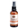 Fabulous Frannie Muscle Ice Massage Spray Healthy Spritz Made with