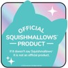 Squishmallows Squishmallow Plush Toy Rocky the Grey Raccoon 20 cm
