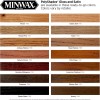 Minwax 41410 Honey Pine PolyShades Wood Stain And Polyurethane, Gloss