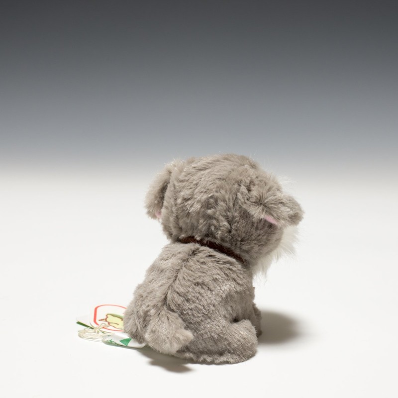 Candy Fontaine Schnauzer