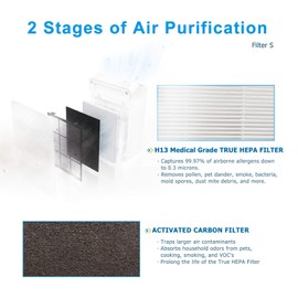 Flintar C545 True HEPA Replacement Filter S, Made in Taiwan, Compatible with Winix C545 Air Purifier, S Filter 1712-0096-00, 2 H13 Grade True HEPA + 8 Activated Carbon Filters