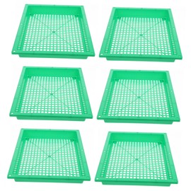 KONTONTY 6pcs Plant Germination Trays Small Greenhouse Growing Plates for Home Gardening Easy to Carry with Reinforced Edging for Seedlings and Balcony Gardens