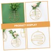 Sosoport Hydroponic Wall Vase Geometric Plant Holder Stylish Propagation Tube