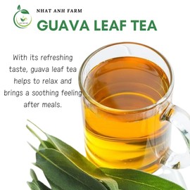 Premium Guava Tea Bags - Guava Tea Leaves - Dried Guava Leaves 40 Tea Bags, 2.5g/bag) - 100% Natural And Pure Guava Leaf, Sugar/Caffeine/Gluten Free. Good For Your Health