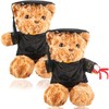 Rcanedny 2 Pcs Graduation Teddy Bear 12 Inch Stuffed Bear